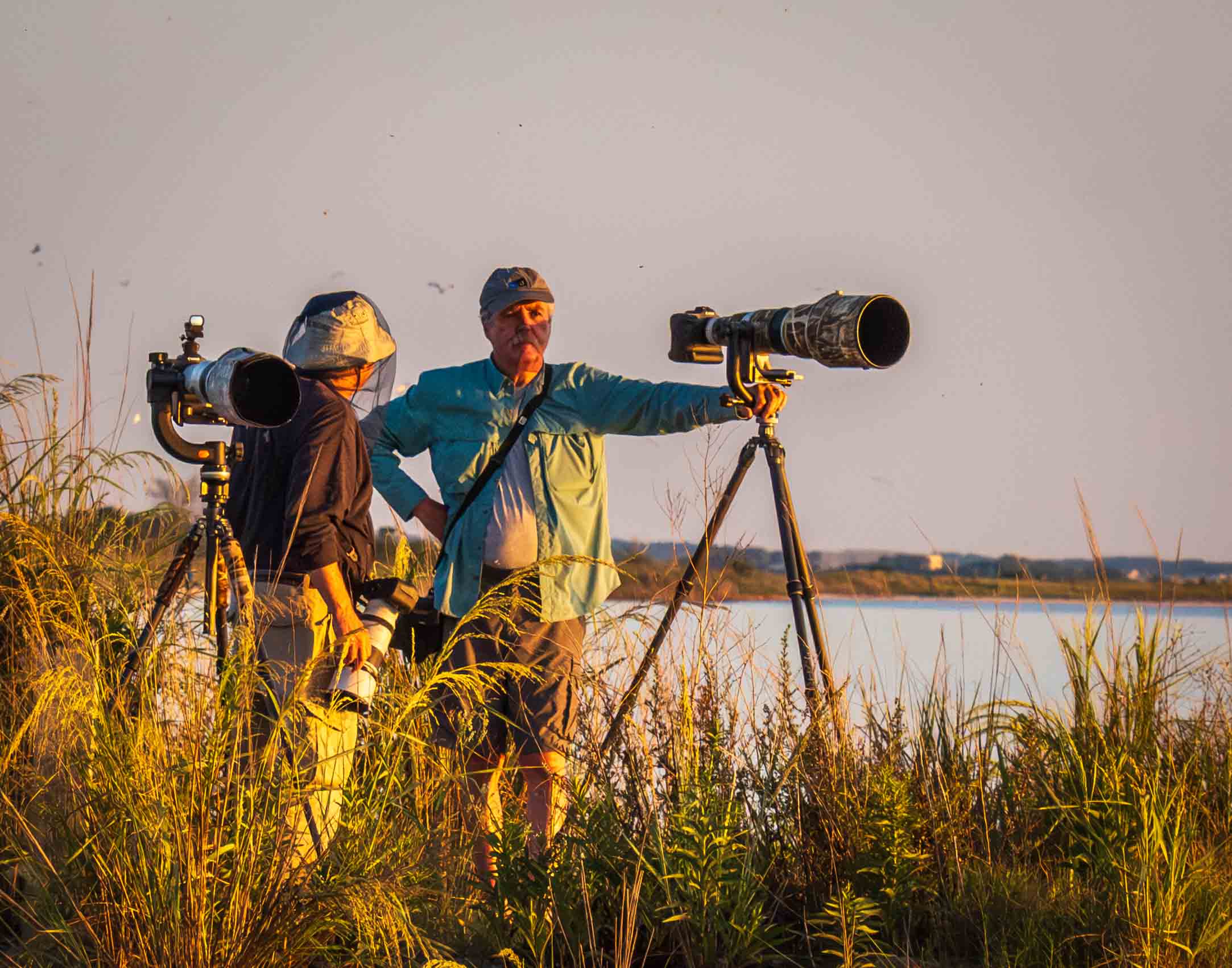 Yrs_2020-2024_CCC_IMG_006836_ - Wildlife SIG outing at New Road to capture Ibises at sunset.  August 2022.jpg
